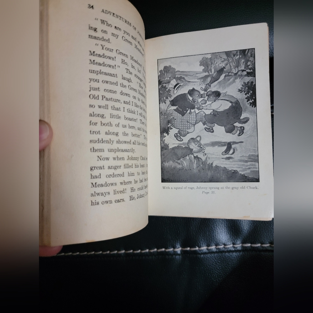 The Adventures of Johnny Chuck by Thornton W. Burgess Hardback 1st Edition Child - Picture 10 of 15